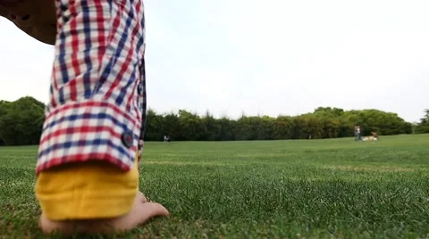 Chinese  boy practice Somersaults on grass land Stock Footage 50204200
