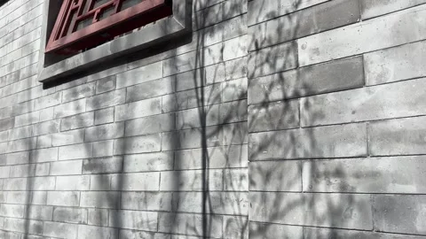 Chinese Brick Wall with Tree Shadow under Half Opened Red Carved Lattice Window Vídeos de archivo 331687349