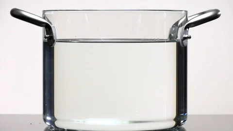 Chinese cabbage 1 Stock Footage 101534772