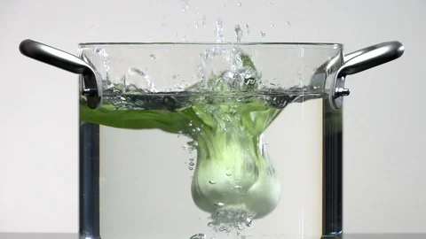 Chinese cabbage 2 Stock Footage 101535435