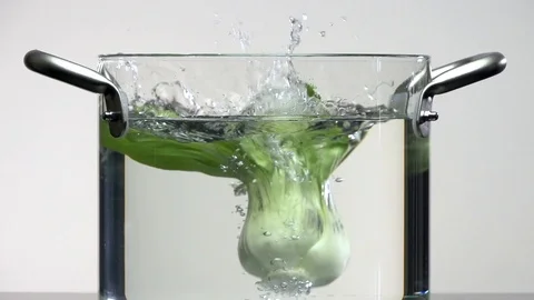 Chinese cabbage 3 Stock Footage 101535532