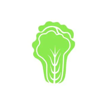 Chinese cabbage. Flat vector illustration isolated on white background. Stock Illustration