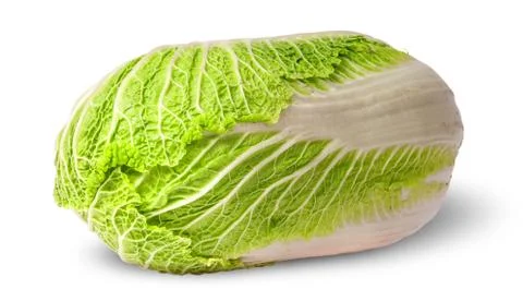 Chinese cabbage horizontally Stock-Fotos