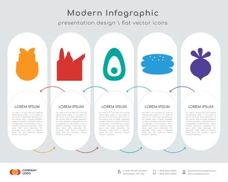 Chinese cabbage infographics design Stock Illustration
