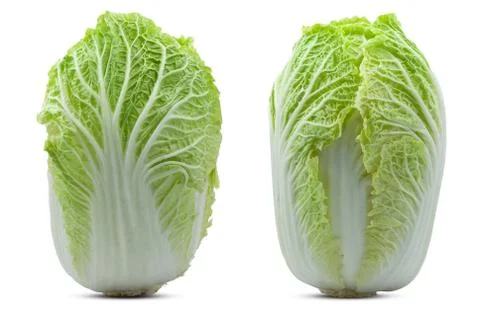 Chinese cabbage isolated on white background Stock Photos