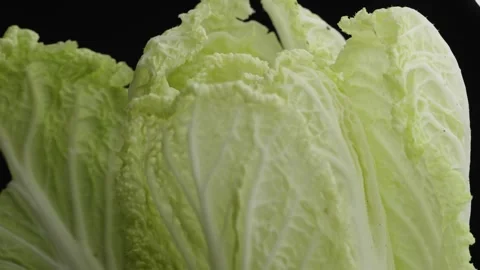 Chinese cabbage leaves on a black background Stock Footage 224068247