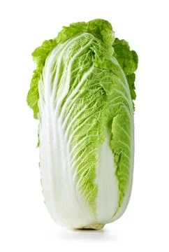 Chinese cabbage Foto stock