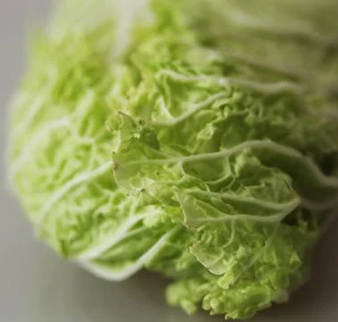 Chinese cabbage Foto stock