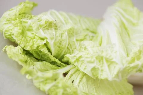 Chinese cabbage Stock Photos