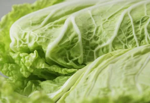 Chinese cabbage Stock Photos