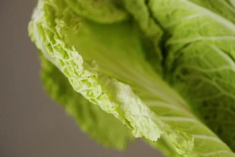 Chinese cabbage Foto stock