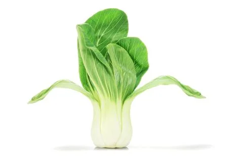 Chinese cabbage Stock Photos