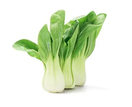 Chinese cabbage Foto stock
