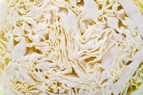 Chinese cabbage Stock Photos