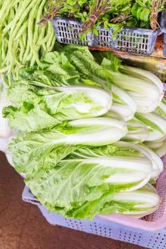 Chinese cabbage Foto stock