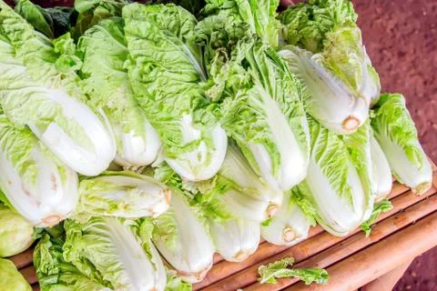 Chinese cabbage Stock Photos