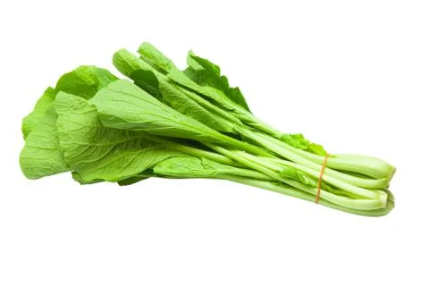 Chinese Cabbage Stock Photos