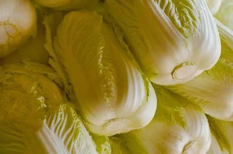 Chinese cabbage Stock Photos