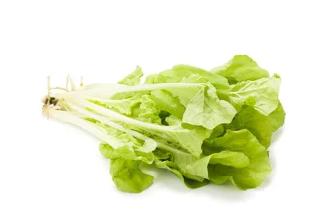 Chinese cabbage Stock Photos