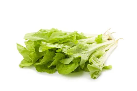 Chinese cabbage Stock Photos