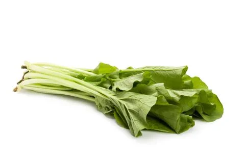 Chinese cabbage Stock Photos
