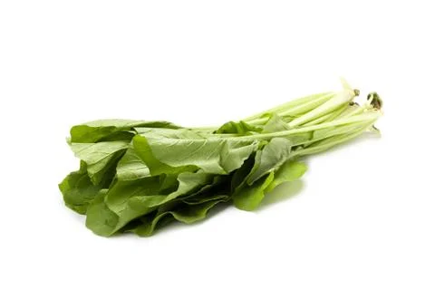 Chinese cabbage Stock Photos