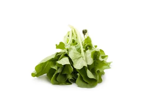 Chinese cabbage Stock Photos