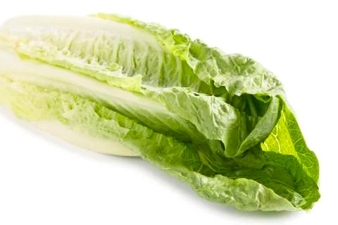 Chinese cabbage Stock Photos