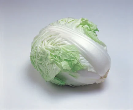 Chinese Cabbage Stock Photos