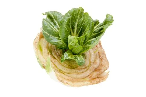 Chinese cabbage Foto stock