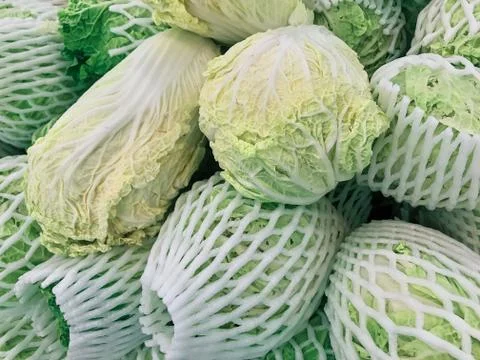 Chinese cabbage Stock Photos