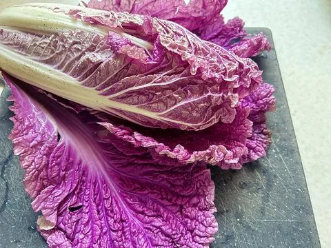 Chinese cabbage Stock Photos