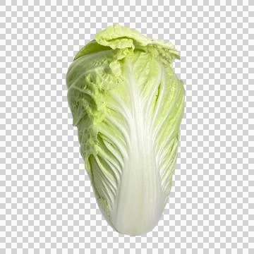 Chinese cabbage Stock Photos