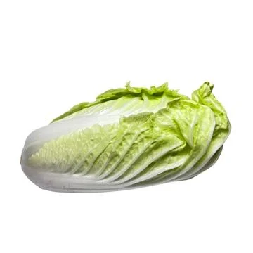Chinese cabbage Stock Photos