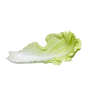 Chinese cabbage Stock Photos