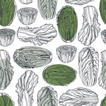 Chinese cabbage.  Vector pattern. Stock Illustration