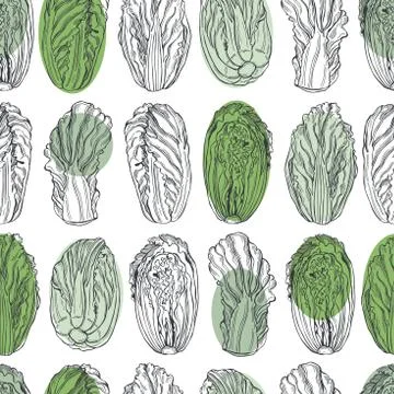 Chinese cabbage.  Vector pattern. Illustrazione stock