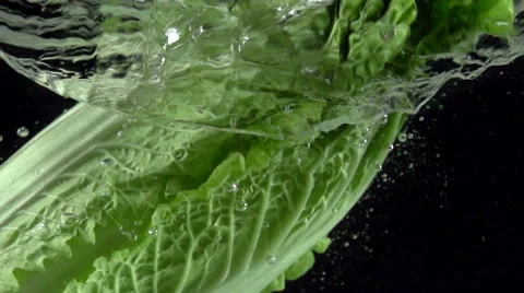 Chinese Cabbage in water Stock Footage 46345262