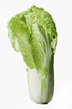 Chinese cabbage on white background Foto stock