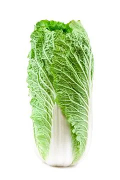 Chinese cabbage on a white background. Stock Photos