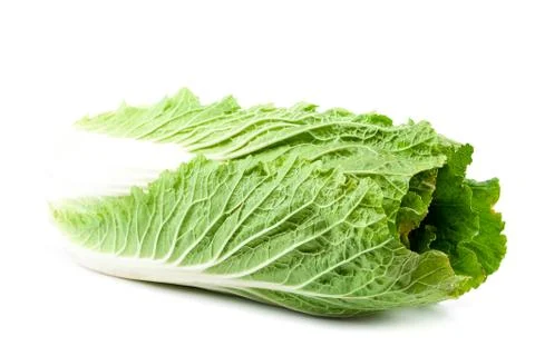 Chinese cabbage on a white background. Stock Photos
