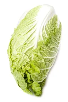 Chinese cabbage on a white background. Stock Photos