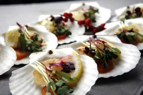 Chinese cake on shells Stock Photos