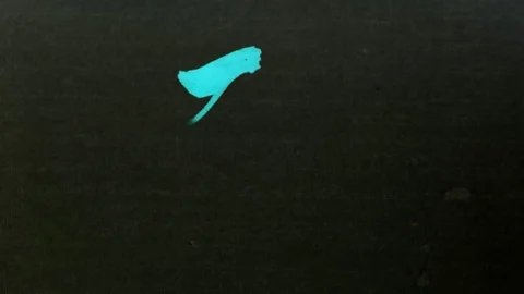 Chinese calligraphy of "Beheaded" Stock Footage 70085192