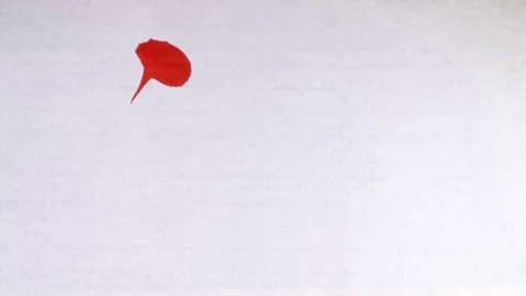 Chinese calligraphy of "Luck" Stock Footage 70077284