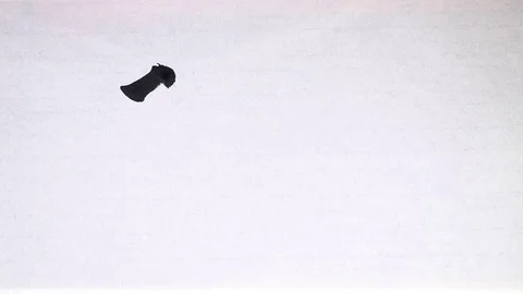 Chinese calligraphy of "Porridge" Stock Footage 70077553