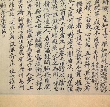 Chinese calligraphy of tea scripture ancient chinese calligraphy of tea sc... Stock Photos