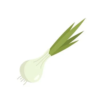 Chinese chive icon flat vector. Onion garlic Stock Illustration