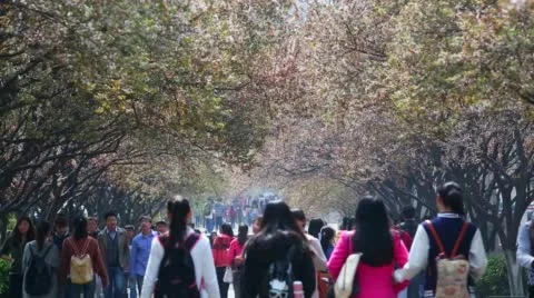 Chinese collage students walking in campus Video stock 50352423
