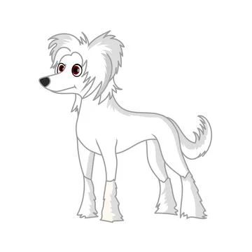 Chinese crested dog Stock Illustration